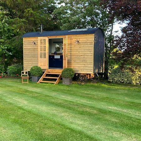 Bannfield Shepherds Hut Ballymoney Extérieur photo